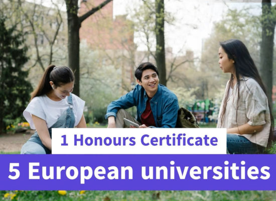 Concepts that Matter – Debating Democracy (honours certificate)